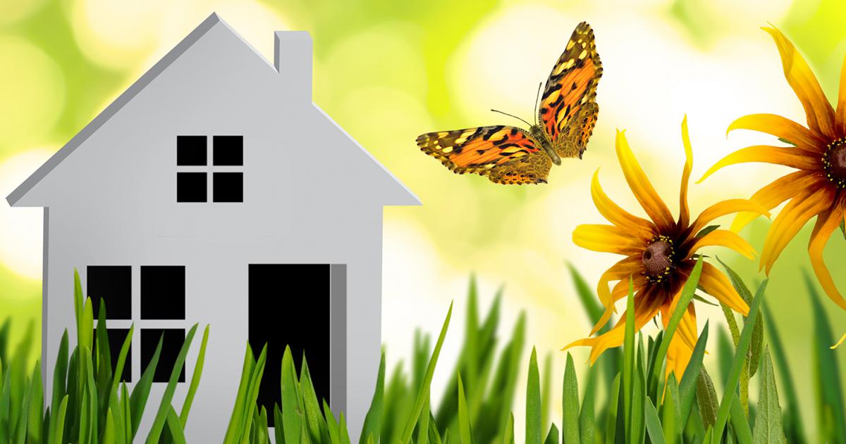 Huis verduurzamen: met welk budget kun je wat aanpakken?